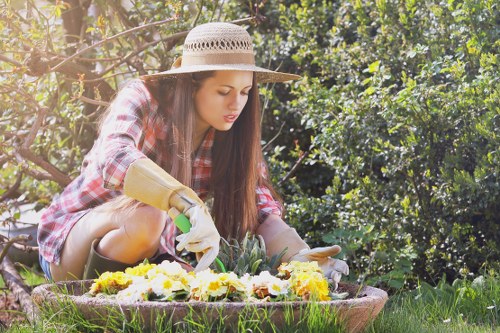 Gardener planting flowers in a Belmont backyard